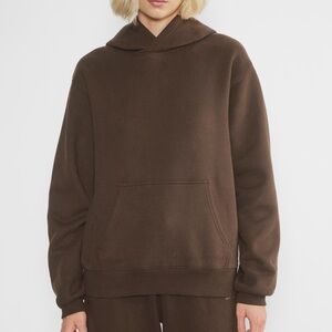 Aritzia Cozy Sweatfleece Boyfriend Hoodie